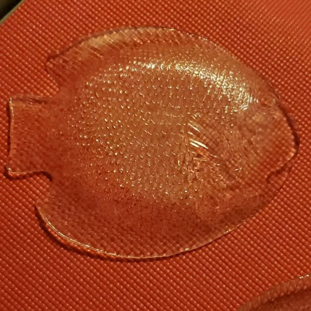 Arcoroc France Glass Fish Plates 10.5